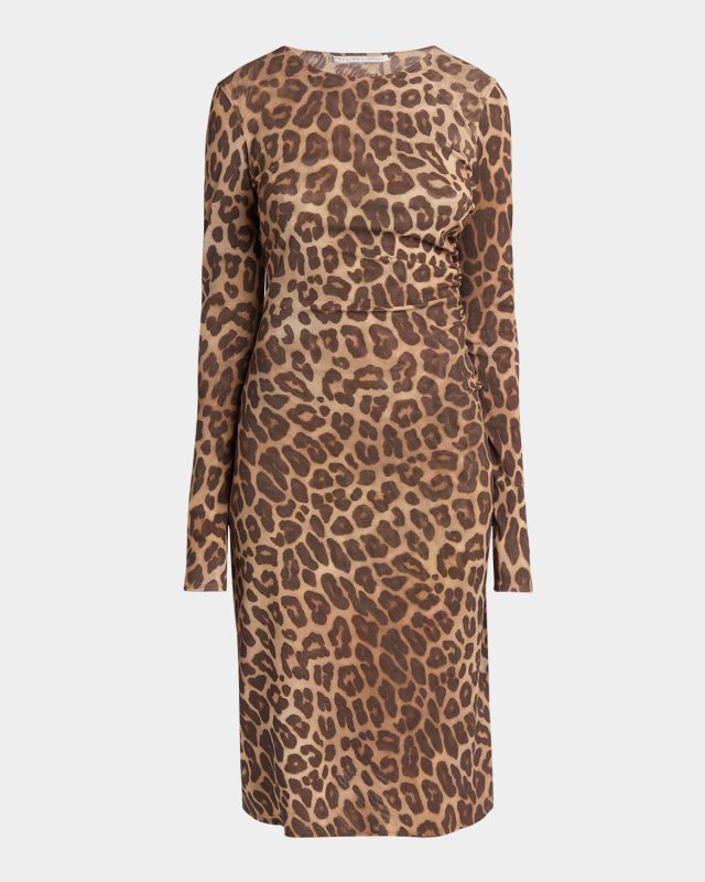 Leopard-Print Mesh Long-Sleeve Dress